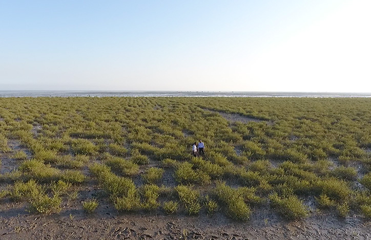 Land reclamation